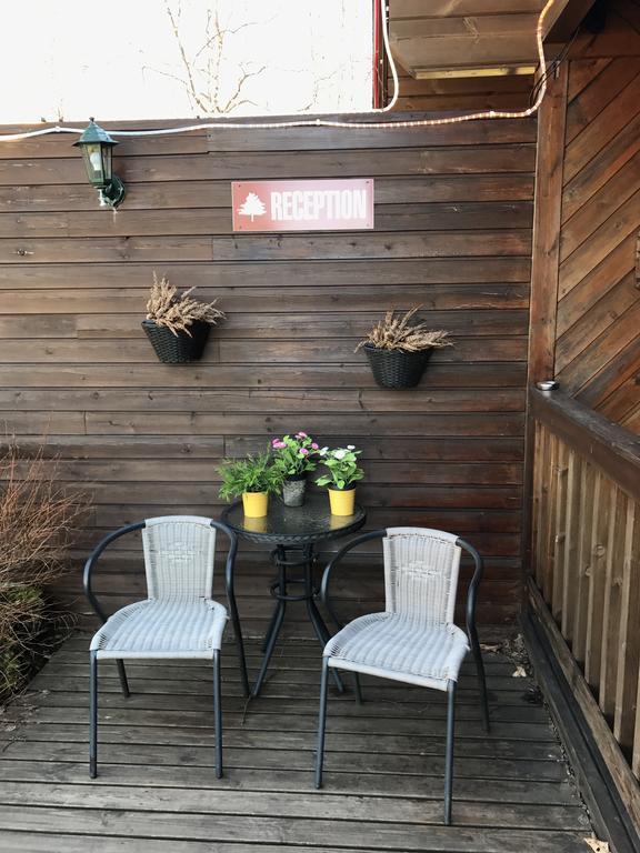 Blue Grove Guesthouse South Iceland ภายนอก รูปภาพ