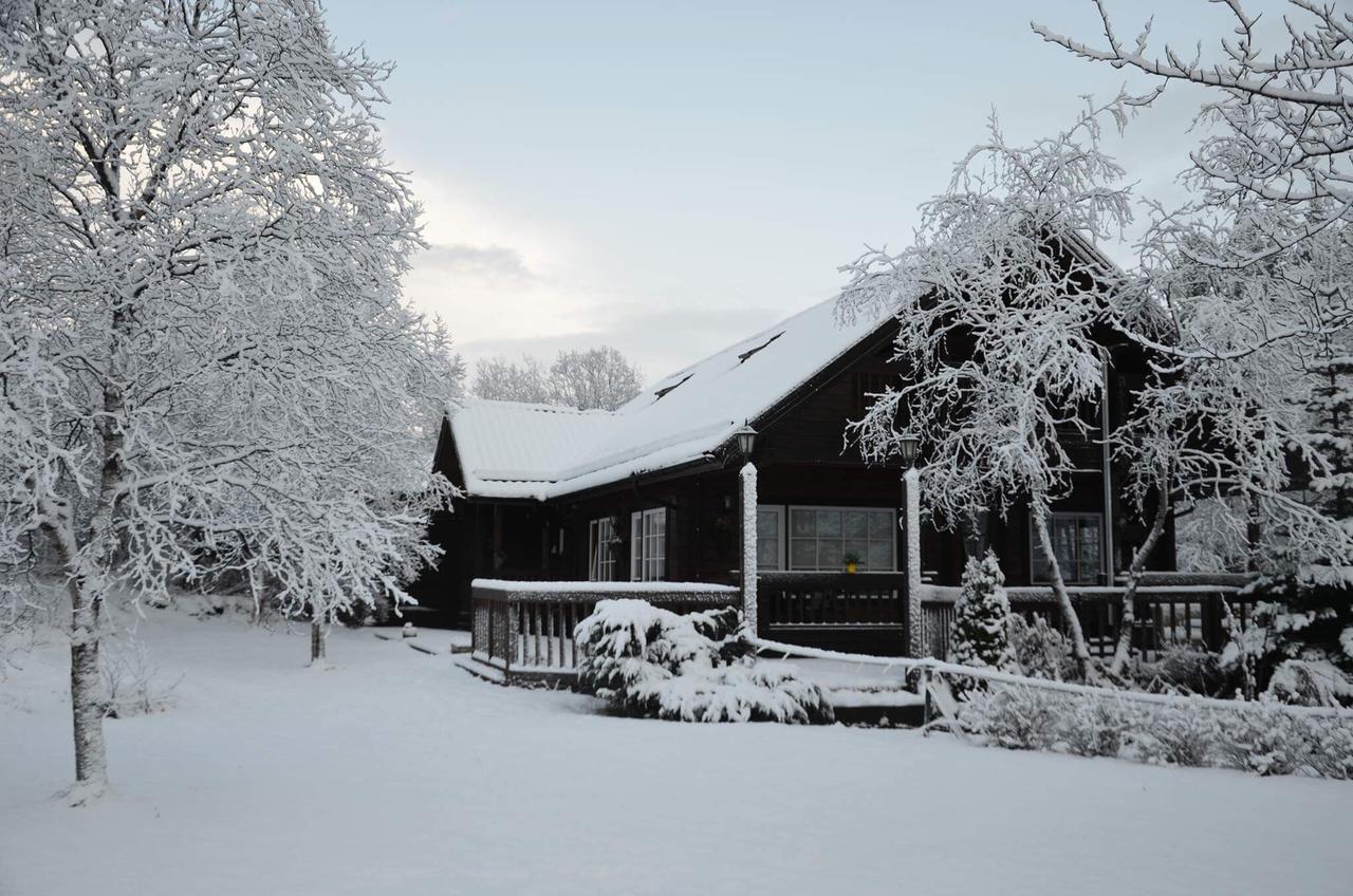 Blue Grove Guesthouse South Iceland ภายนอก รูปภาพ