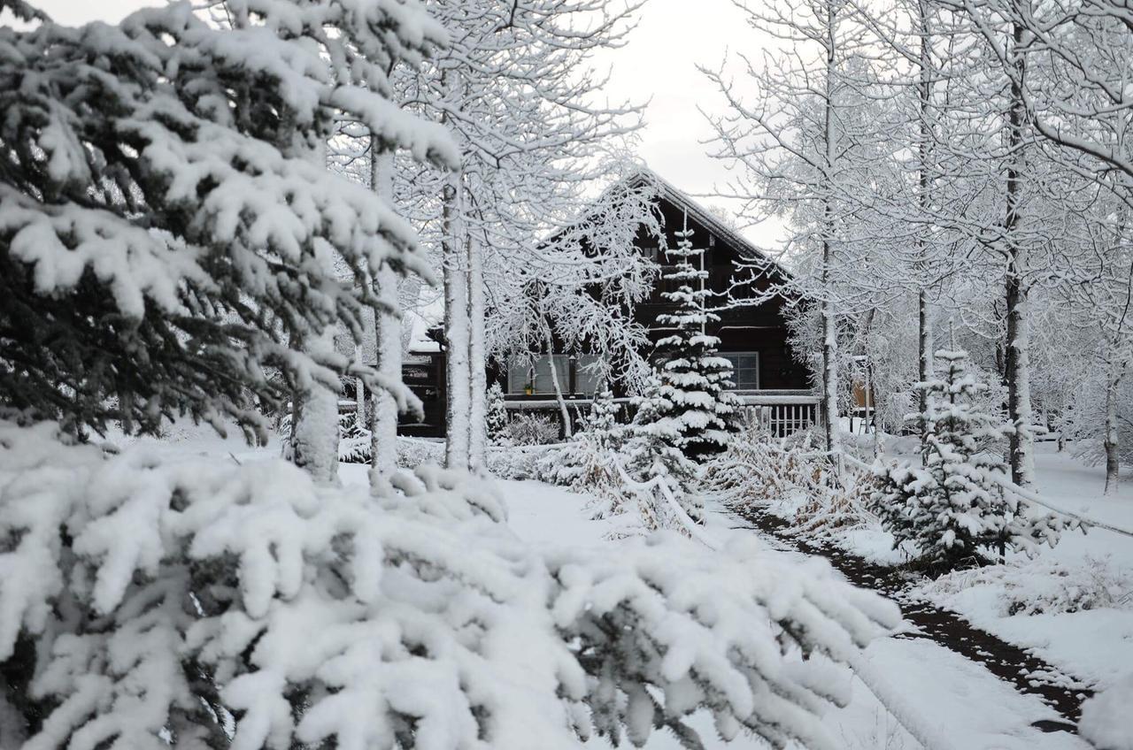 Blue Grove Guesthouse South Iceland ภายนอก รูปภาพ